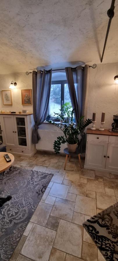 Monteur-Ferienwohnung Ot Naundorf Naundorf  المظهر الخارجي الصورة