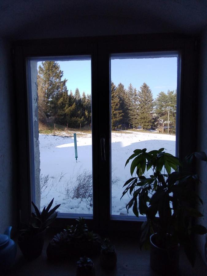 Monteur-Ferienwohnung Ot Naundorf Naundorf  المظهر الخارجي الصورة